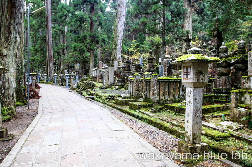 koyasan nature